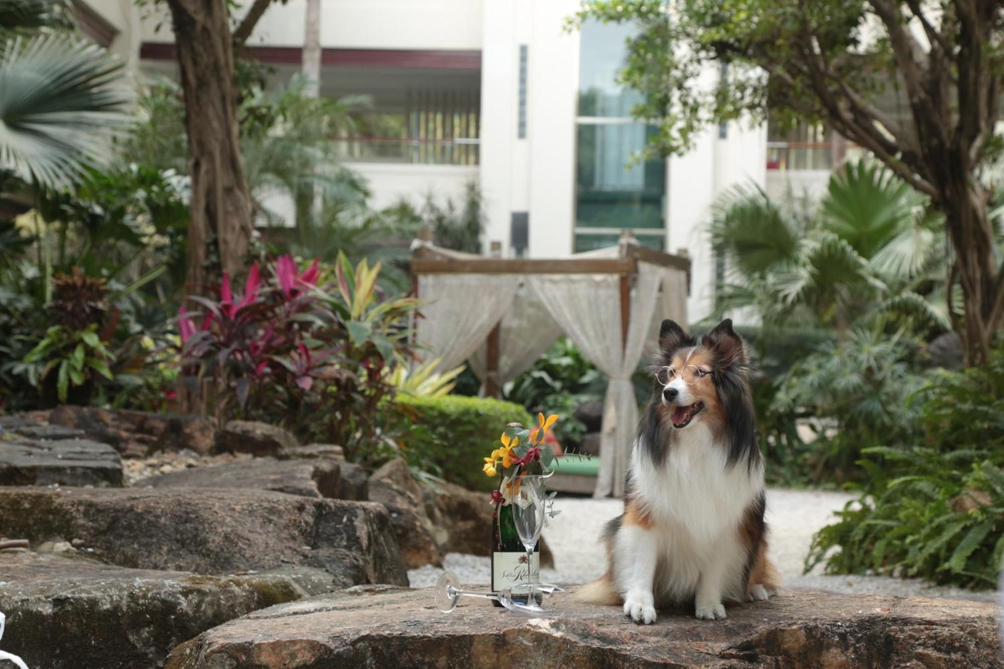 Mission Hills Hotel Resorts Shenzhen Bagian luar foto